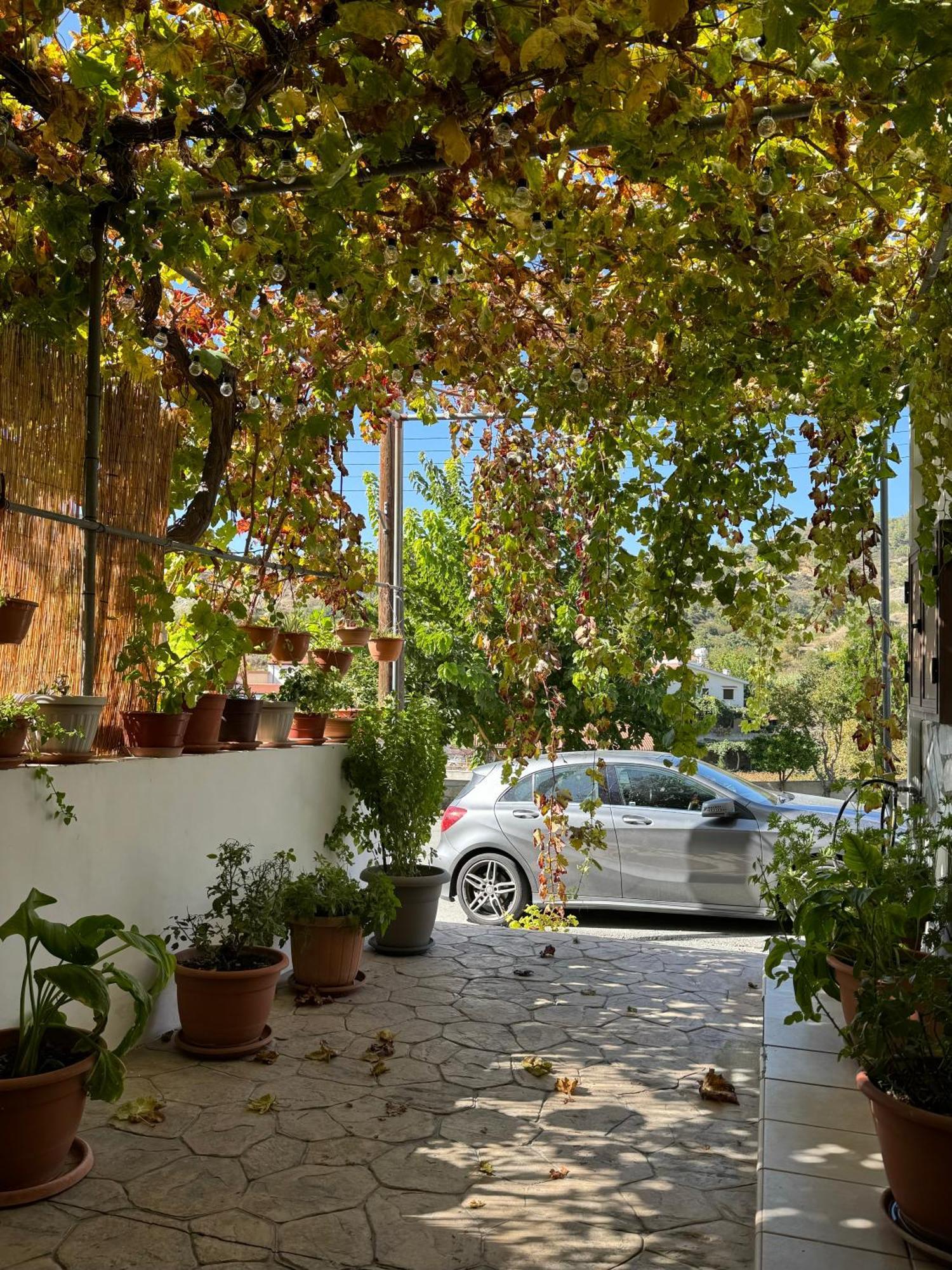 Villa Στου Στεφανή Agros Esterno foto